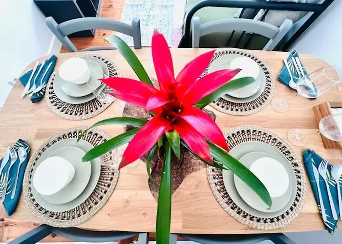 شقة Large Flat Up 8pp *